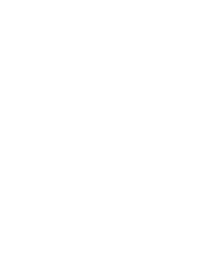 CB-ZIO